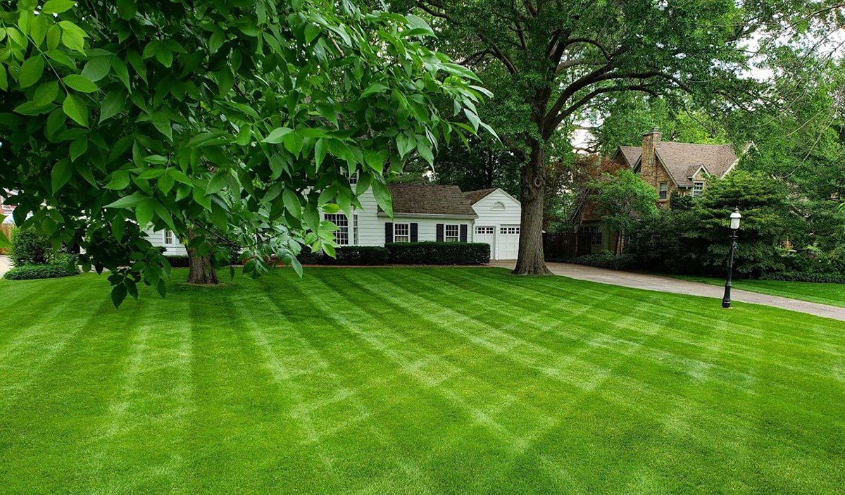home-lawn